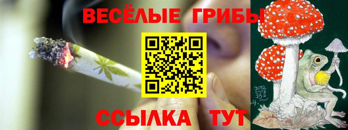 Псилоцибиновые грибы мицелий Чехов